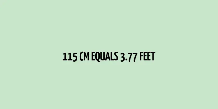 115 cm to Feet (Conversion from Centimeters to Feet)