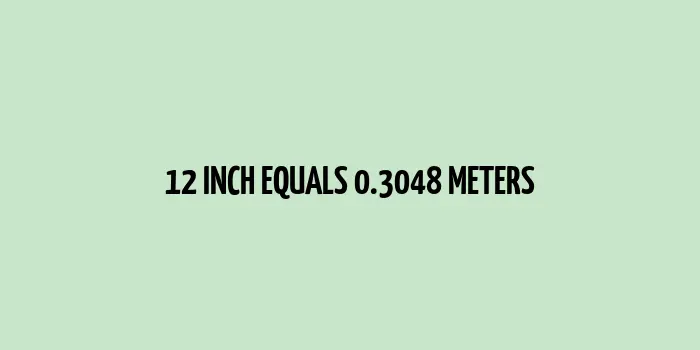 12 inch to m (Inches to Meters)