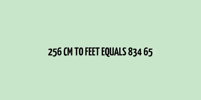 256 cm to feet (834.65 feet)