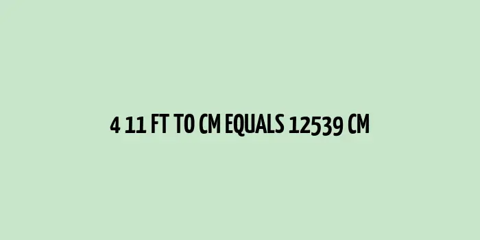 4.11 ft to cm (Feet to Centimeters)