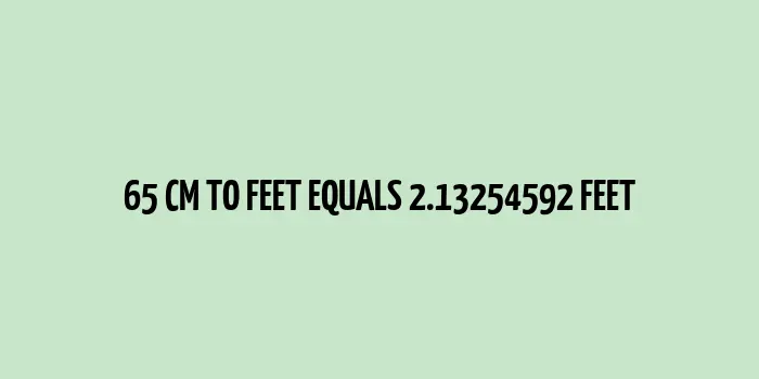 A scale showing conversion of 65 centimeters to 2.132 feet.