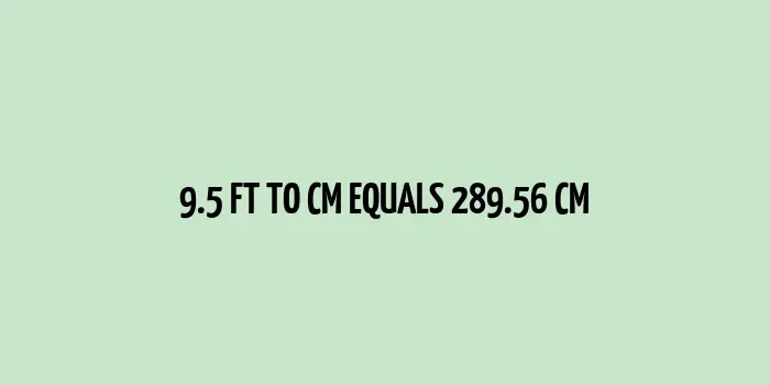 9.5 ft to cm (Feet to Centimeters)