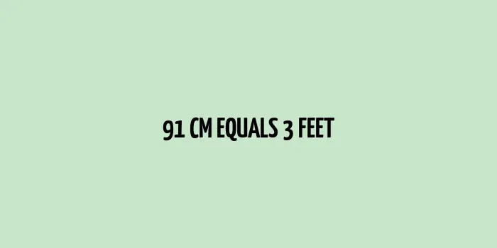 91 cm to Feet (3 Feet)